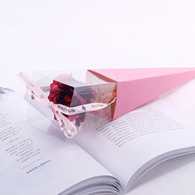 Charger l'image dans la galerie, 47655567720779