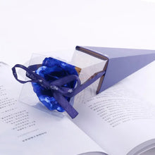 Charger l'image dans la galerie, 47655567688011