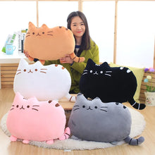 Charger l'image dans la galerie, Peluche Chat Cute 40cm - Compagnon Doux et Réconfortant XXL