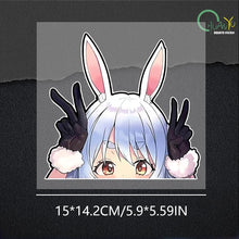 Charger l'image dans la galerie, 47723246879051