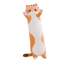 Charger l'image dans la galerie, coussins chats