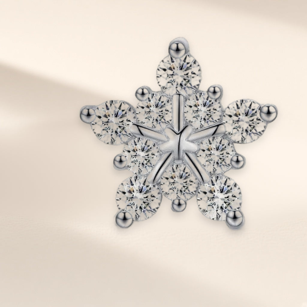 Puces Neige Étoilée en gros plan : étoile à cinq branches couverte de petites pierres rondes claires